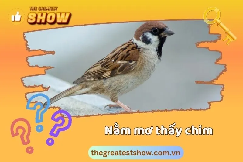 Giải mã giấc mơ thấy chim - Ý nghĩa và điềm báo từ các loài chim khác nhau