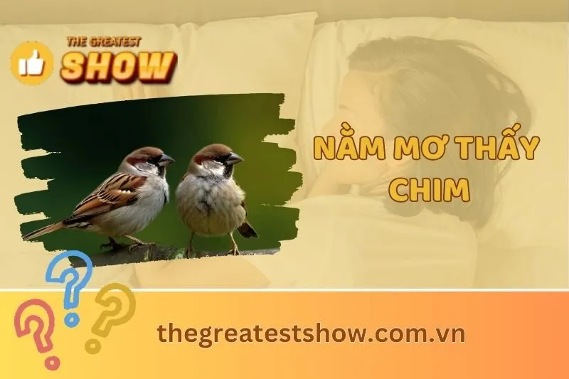 Giải mã ý nghĩa nằm mơ thấy chim 2024: Điềm báo từ chim phượng hoàng, cú và bồ câu