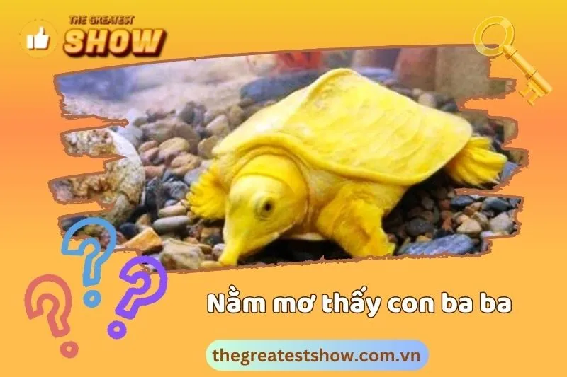 Mơ thấy ba ba màu vàng mang điềm báo gì?