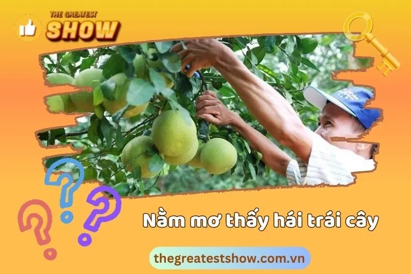 Mơ thấy hái trái cây có phải là dấu hiệu tốt hay xấu?