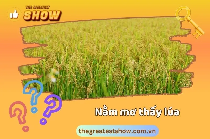 Mơ thấy lúa chín báo hiệu điều gì?