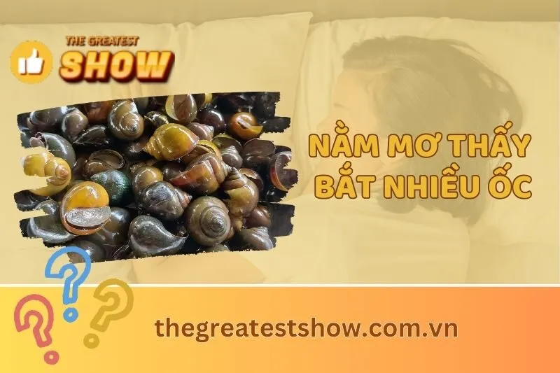 Nằm mơ thấy bắt nhiều ốc: Giải mã chi tiết và ý nghĩa giấc mơ