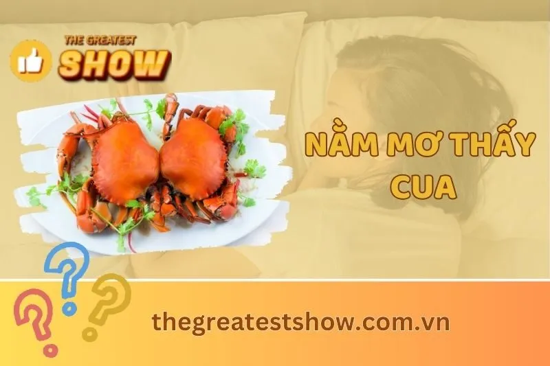 Nằm mơ thấy cua: Ý nghĩa giấc mơ và điềm báo từ giấc mơ thấy cua