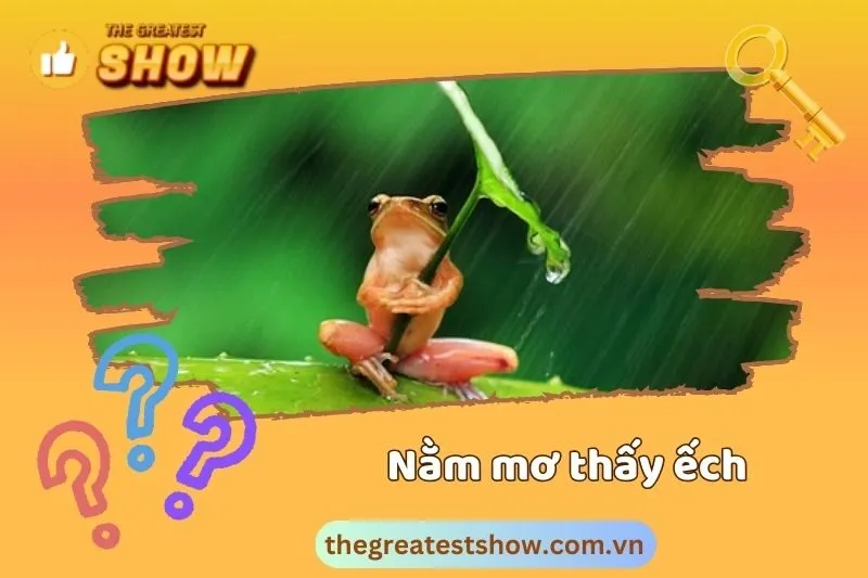 Nằm mơ thấy ếch theo màu sắc có ý nghĩa gì?