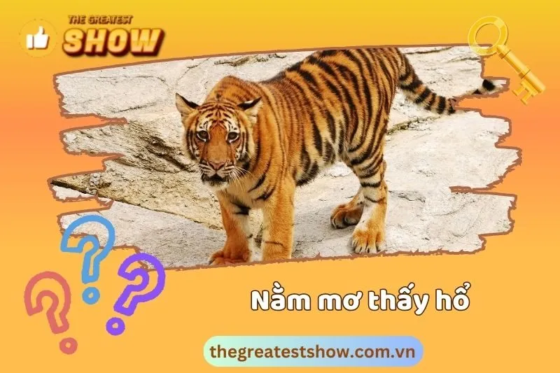 Nằm mơ thấy hổ là điềm lành hay điềm dữ?