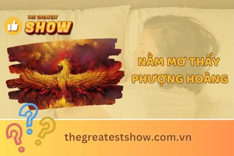 Nằm mơ thấy phượng hoàng: Ý nghĩa giấc mơ và điềm báo thú vị